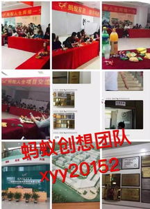 螞蟻人生四核模式代理指南 第一創想團隊助您月入十萬的消毒劑銷售機遇